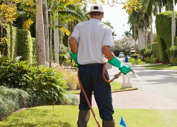 About Davidson NC Pest Control Pros